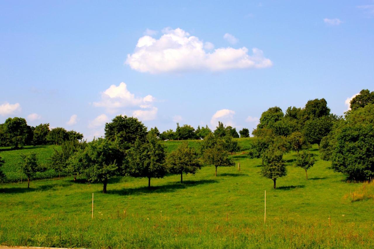 Auszeit Apartment Bodensee FDH Εξωτερικό φωτογραφία